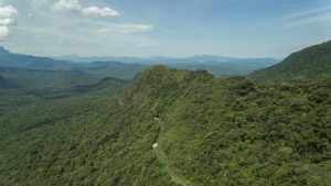 Read more about the article Projeto vai restaurar mais de 800 hectares de Mata Atlântica no Paraná