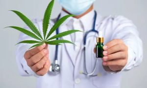 Read more about the article Plataforma realiza estudos sobre Cannabis Medicinal e fatura R$ 1 milhão