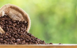 Read more about the article Ásia e Oceania alcançam 5,03 milhões de sacas nas exportações de cafés em março de 2022