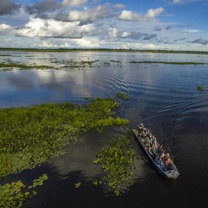 Read more about the article Turismo no Pantanal: saiba tudo sobre esse destino fantástico