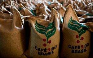 Read more about the article Produção de café arábica equivale a 67% e conilon a 33% da safra dos Cafés do Brasil em 2022