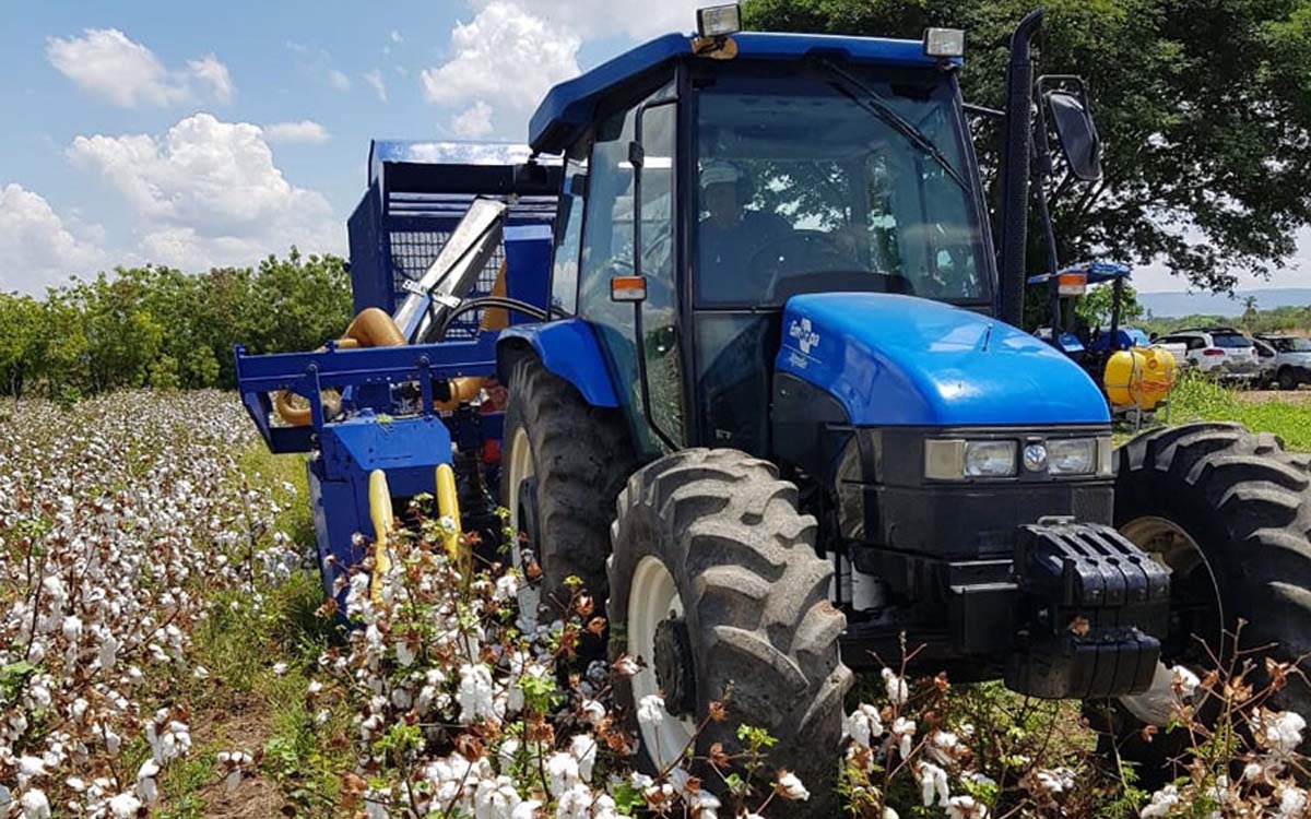 You are currently viewing Dia de campo no Paraguai teve apresentação da colheitadeira de algodão para agricultura familiar