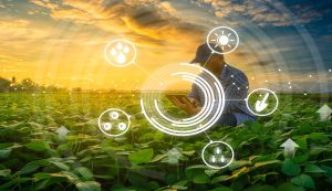 Read more about the article A Blockchain ganhou espaço na agro indústria. Entenda como a tecnologia está atuando nesta área