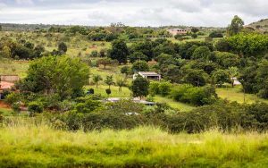 Read more about the article Ambiente de negócios do agro será melhor com o Sistema Eletrônico de Registros Públicos