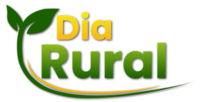 Read more about the article Pecuaristas terão palestra de como colocar mil cabeças em 100 hectares no Interagro