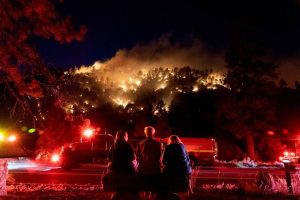 Read more about the article Planeta Maluco: imagens de uma semana estranha em todo o mundo