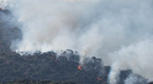 Read more about the article Bombeiros lutam contra incêndios florestais na Espanha em meio a onda de calor