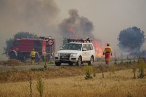 Read more about the article Incêndios florestais se alastram pela Espanha