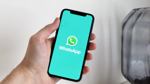 Read more about the article WhatsApp: silencie usuários individuais durante chamadas