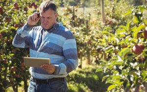 Read more about the article Série de perguntas e respostas sobre Seguro Rural, Proagro e alongamento de dívida rural