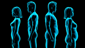 Read more about the article Ectomorfo, Mesoforfo e Endomorfo: conheça os biotipos e suas características