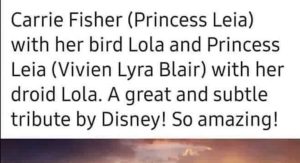 Read more about the article O robô L0-LA59 de Obi-Wan Kenobi é uma homenagem ao passarinho Lola de Carrie Fisher?