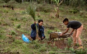 Read more about the article Bolsa Juventude Rural tem inscrições abertas até o dia 5 de julho