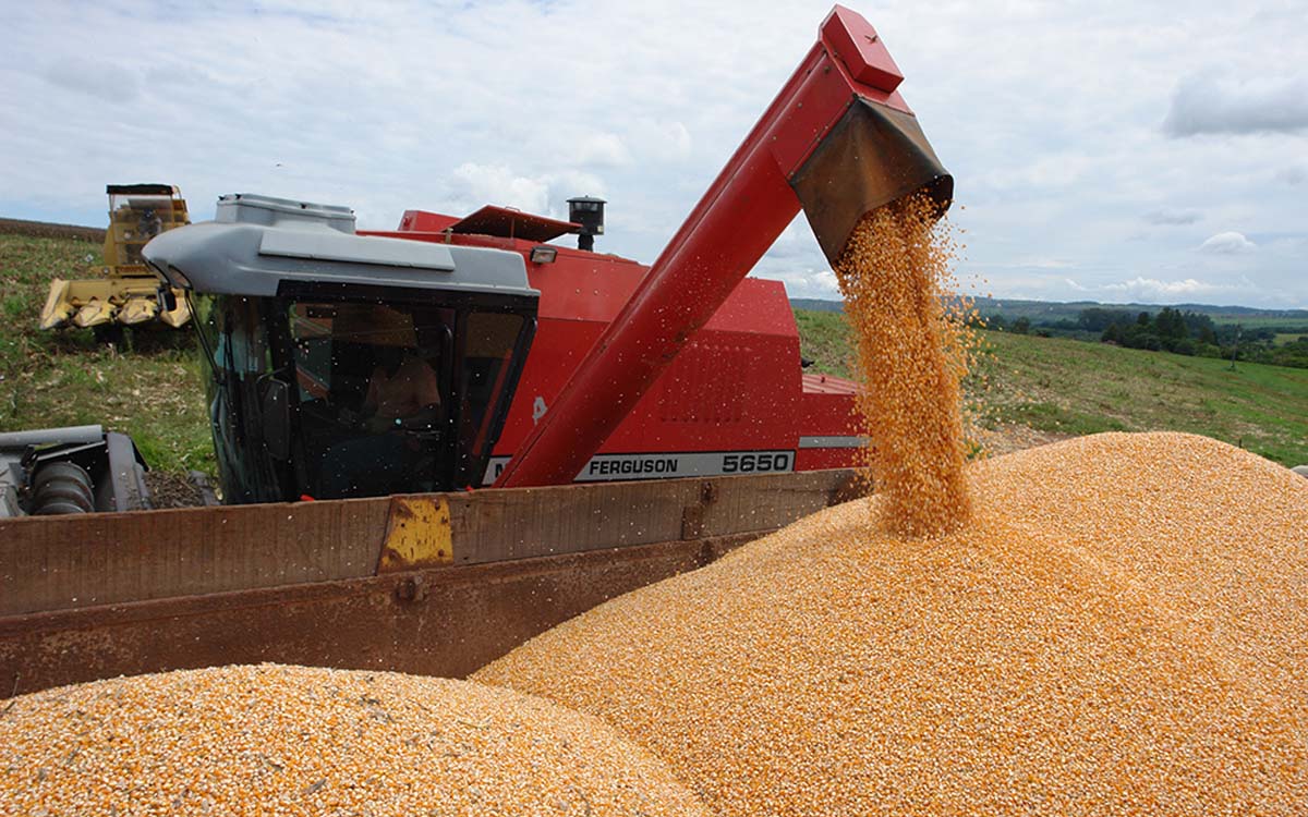 You are currently viewing Congresso de Milho e Sorgo terá como tema enfezamentos, fertilizantes e futuro das commodities