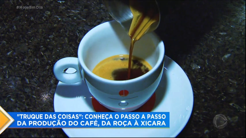 You are currently viewing Truque das Coisas: conheça a produção do café da roça à xícara