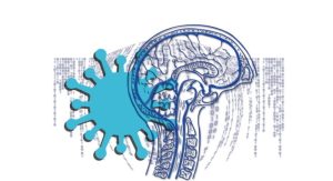 Read more about the article Estudo sugere que resposta imune desencadeada pelo coronavírus pode causar Covid longa