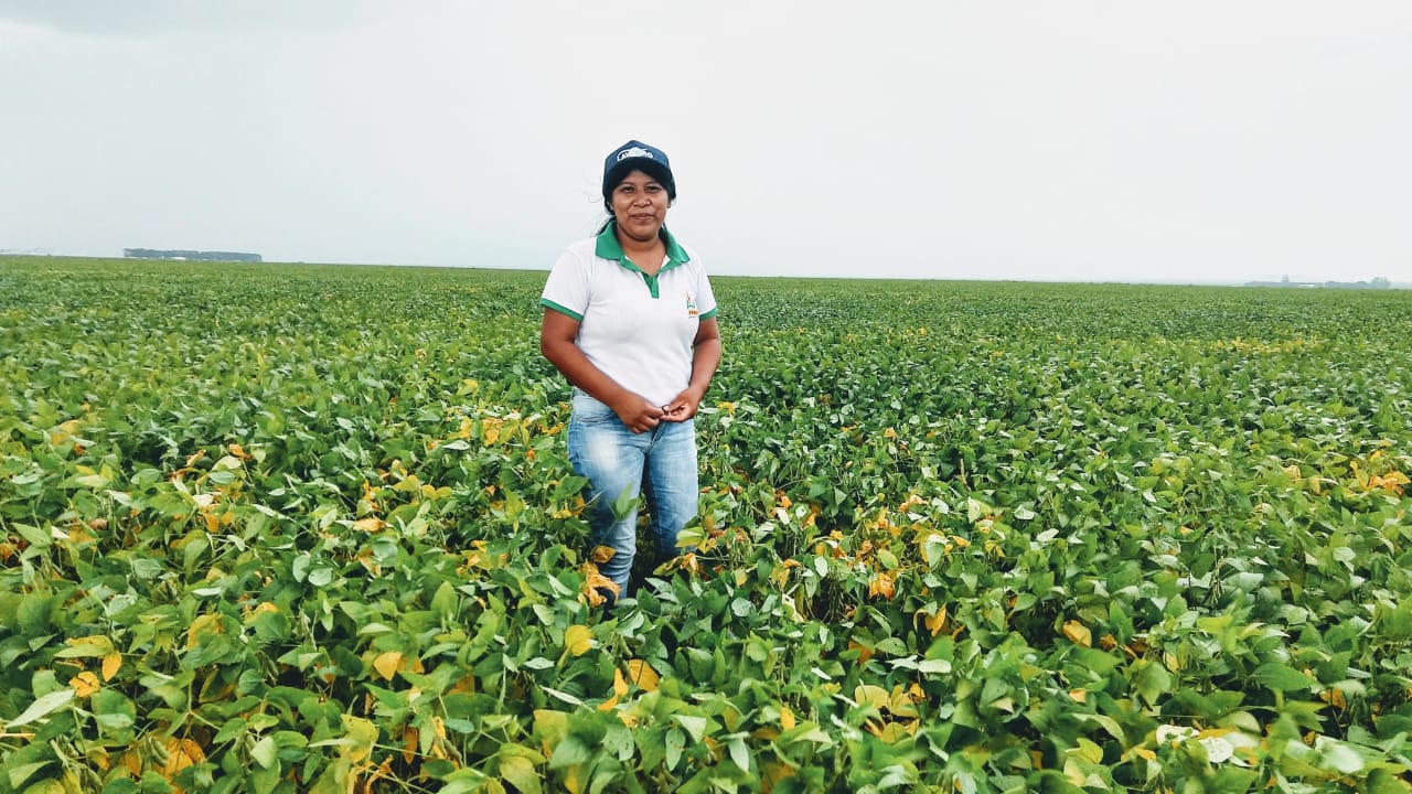 You are currently viewing ‘Nossas aldeias estavam sendo abandonadas’, diz indígena agricultora