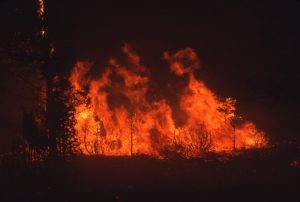 Read more about the article Incêndios florestais atingem França e Espanha