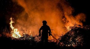 Read more about the article Europa Ocidental luta contra incêndios e se prepara para temperaturas recordes