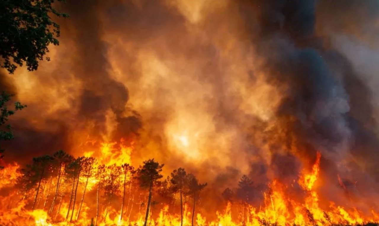 You are currently viewing Onda de calor mata mais de mil pessoas na Europa