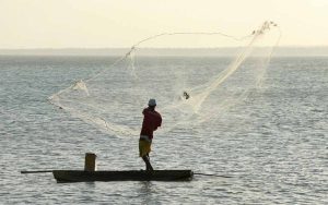 Read more about the article Mudanças nas carteirinhas de pescador amador ou esportivo