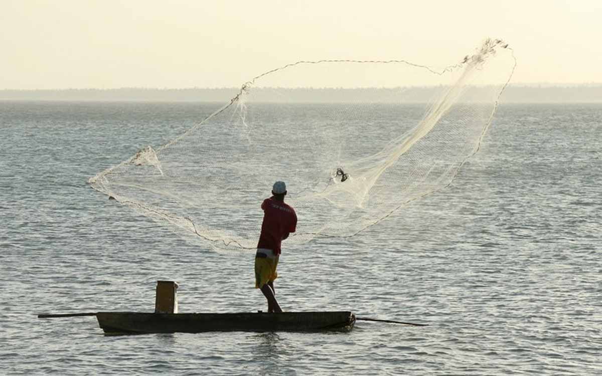 You are currently viewing Mudanças nas carteirinhas de pescador amador ou esportivo