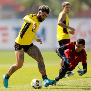 Read more about the article Flamengo enfrenta o Avaí em busca da quarta vitória seguida