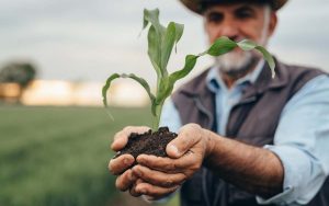 Read more about the article Dia do Agricultor: Agtech traz economia e segurança ao setor!