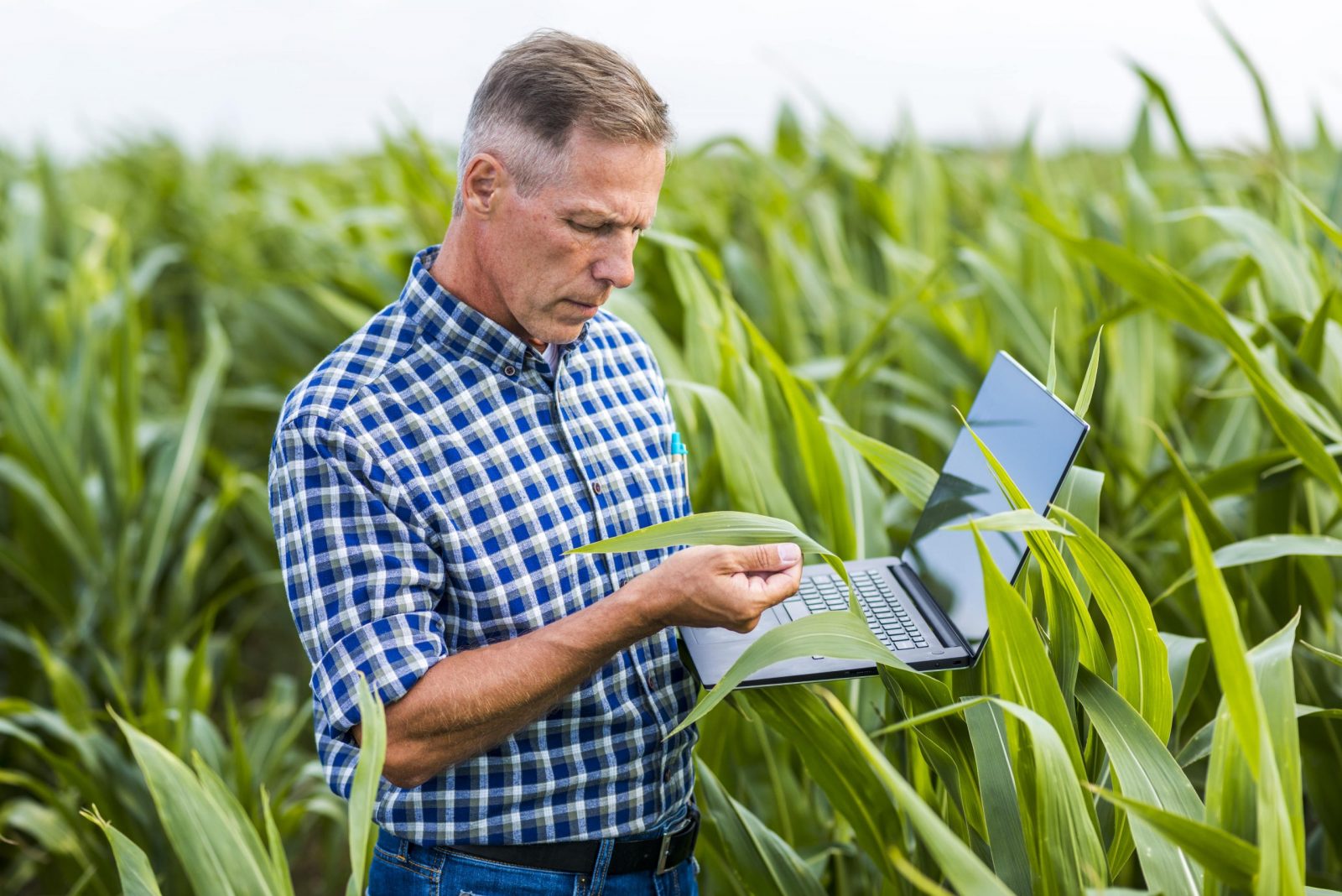 You are currently viewing Perguntas respondidas sobre temas do Agro!