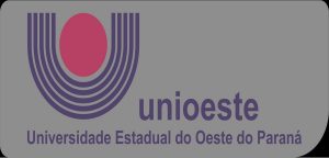 Read more about the article Unioeste divulga o resultado do Vestibular 2022