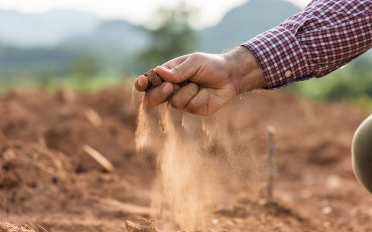 You are currently viewing Foram pagos R$ 7,7 bilhões em indenizações do seguro rural no 1º semestre de 2022