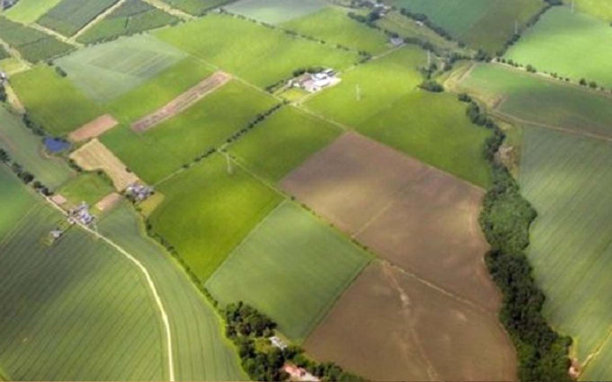 You are currently viewing 100% das análises do Cadastro Ambiental Rural devem ser concluídas até o fim do mês em SP