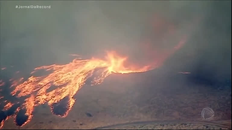 You are currently viewing Onda de calor histórica provoca incêndios florestais que desafiam autoridades da Europa e EUA