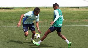 Read more about the article Palmeiras treina e Gustavo Scarpa exalta força da torcida no Allianz