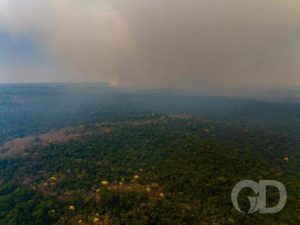 Read more about the article Incêndio no Parque Cristalino atingiu área equivalente a mil campos de futebol