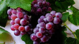 Read more about the article Tenha uma vida mais saudável comendo uvas; Essa fruta tem inúmeros benefícios