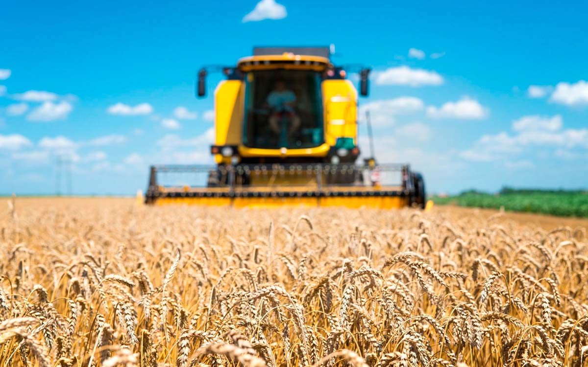 You are currently viewing Produção de trigo pode ter crescimento de 1,5 milhão de toneladas no país com adoção de boas práticas