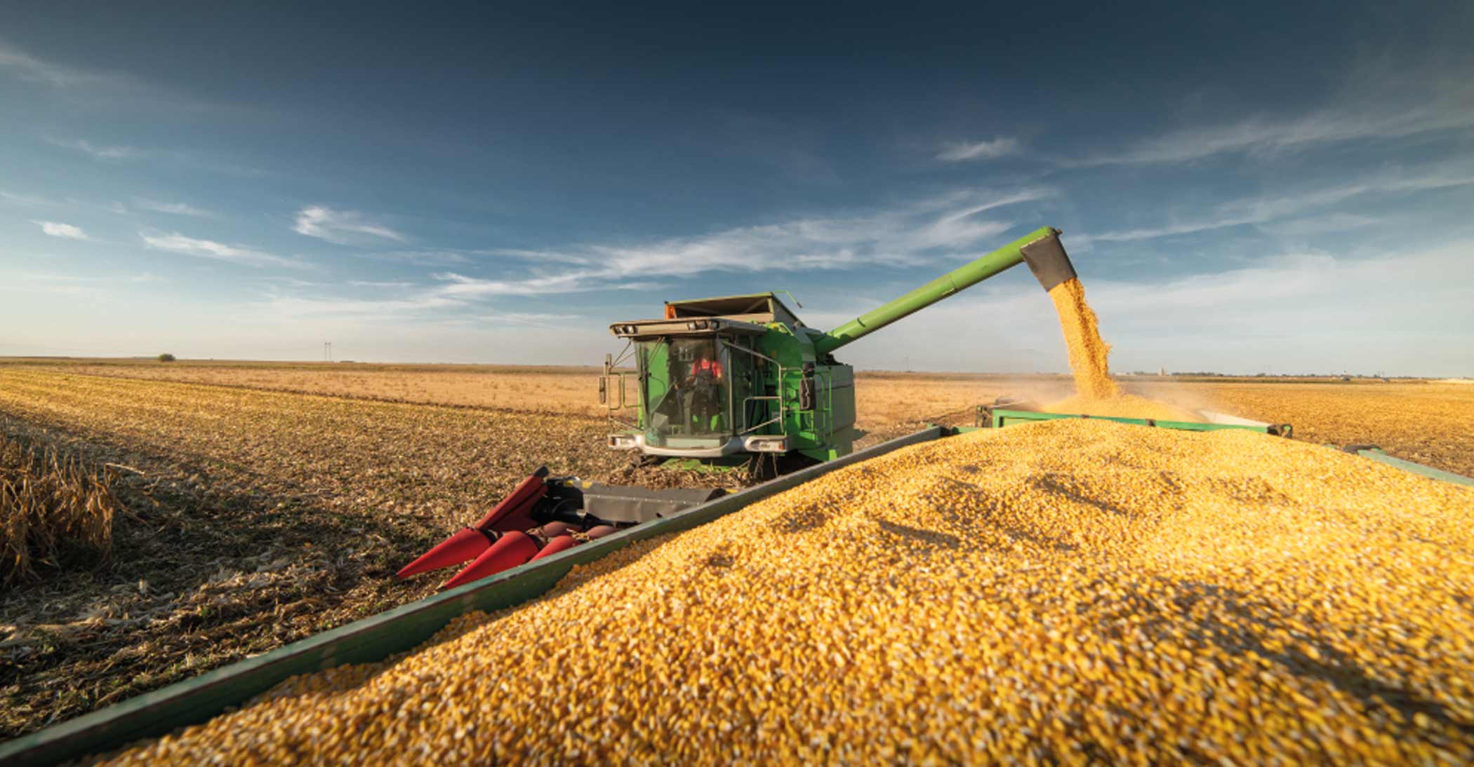 You are currently viewing Agronegócio emprega 20% da população ocupada no Brasil