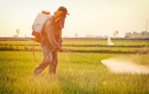 Read more about the article É mentira que o Brasil utilize defensivos agrícolas banidos em outros países