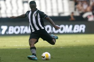 Read more about the article Reformulação: veja a lista de jogadores que deixaram o elenco do Botafogo