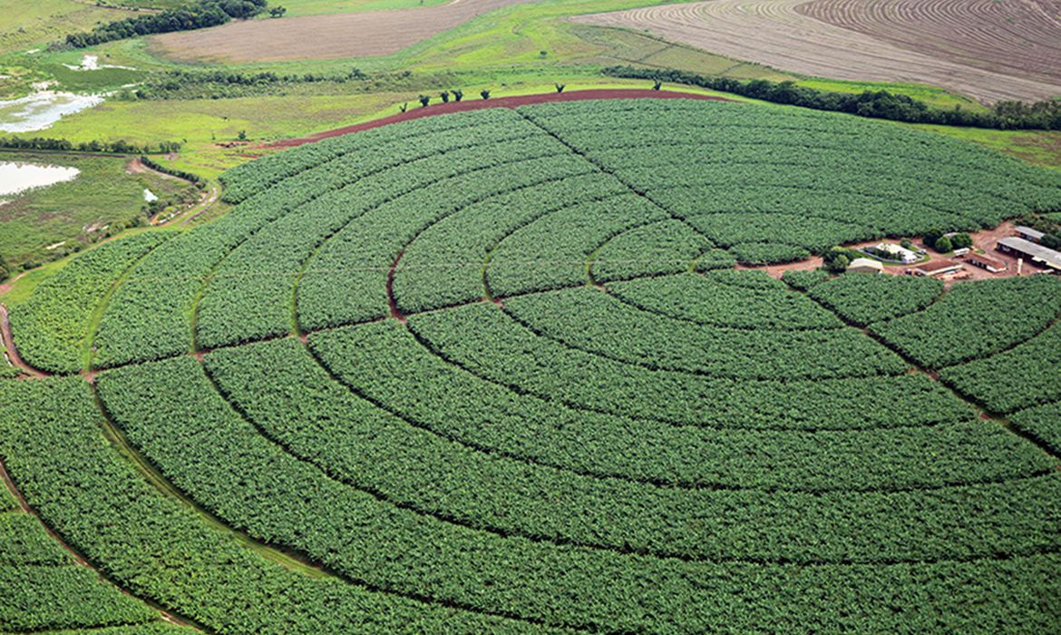 You are currently viewing O agronegócio do Brasil já é ESG