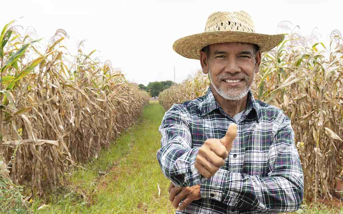 You are currently viewing Mais de 15 mil vagas de trabalho foram abertas na agropecuária em julho