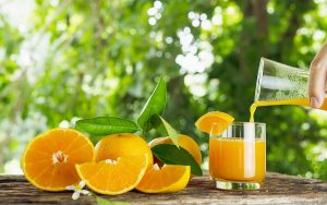 Read more about the article Citros: Período 21/22 termina com estoque reduzido de suco de laranja, que não deve subir em 22/23