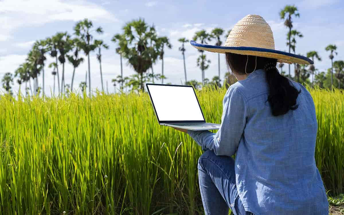 You are currently viewing Saiba quais são as respostas de algumas dúvidas sobre o Seguro Rural, Proagro e Alongamento de Dívida Rural