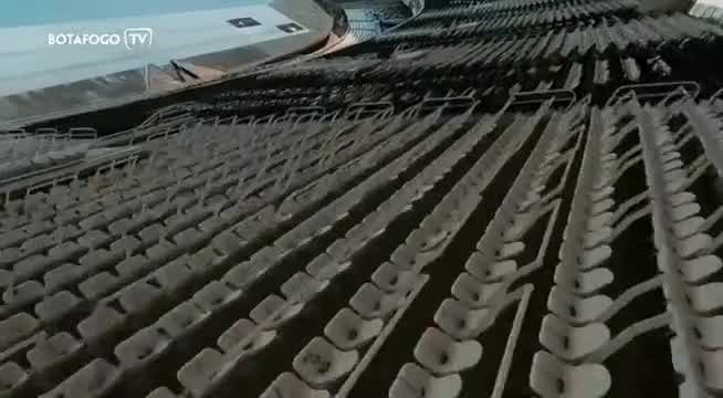 You are currently viewing Botafogo lança campanha por segurança das mulheres no Estádio Nilton Santos