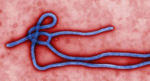 Read more about the article Ebola: Uganda confirma sete casos e uma morte pela doença