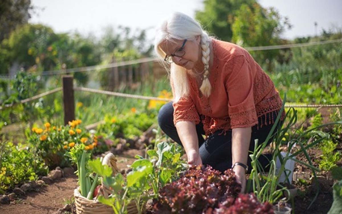 You are currently viewing Mulheres chefes de família terá prioridade em linhas de crédito para agricultura familiar