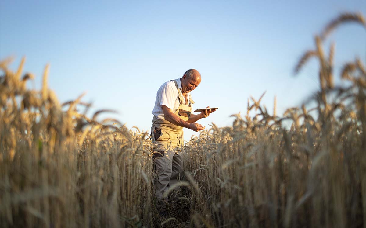 You are currently viewing Saiba como comprovar a Atividade Rural