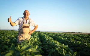 Read more about the article Agronegócio precisa de mais mão de obra para crescer!