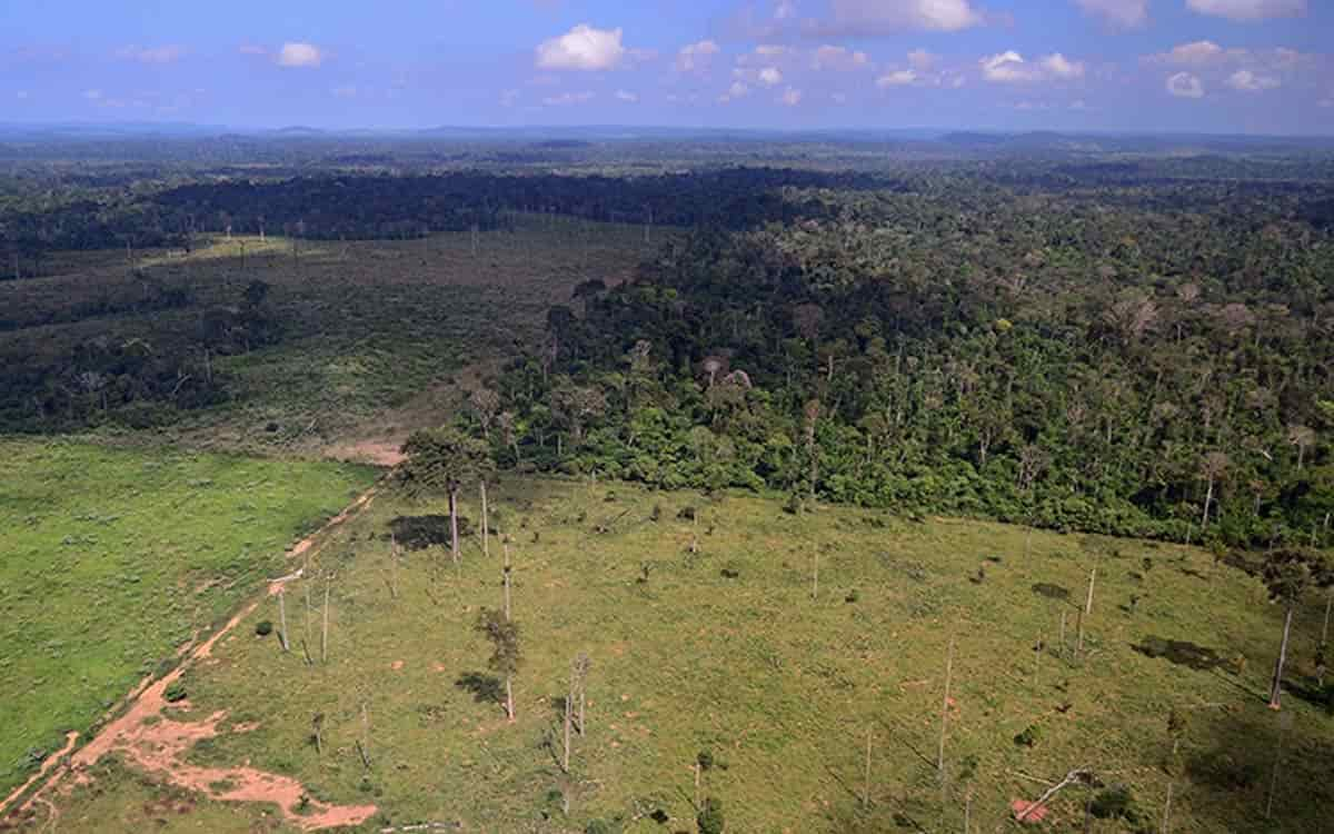 You are currently viewing Área agrícola do país aumentou 230 mil km² e a vegetação natural reduziu 513 mil km² entre 2000 e 2020